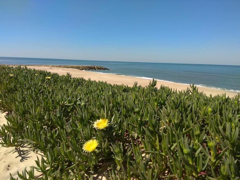Casa De Praia Acolhedora/ Cosy Beach House Marinha das Ondas ภายนอก รูปภาพ